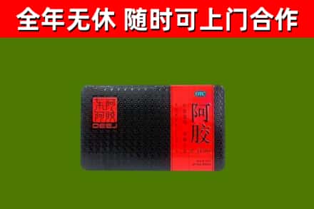 石碣镇回收阿胶
