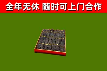 石碣镇回收海参